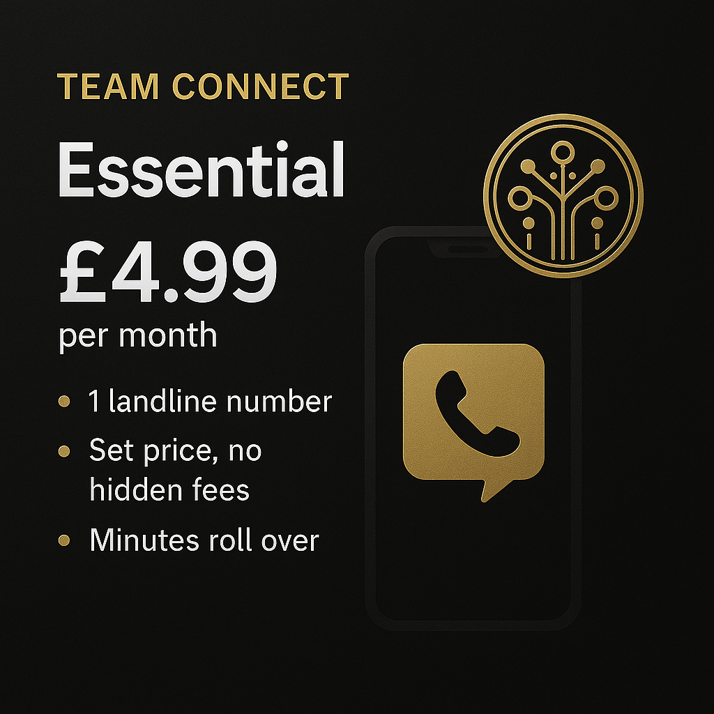 Team Connect Essential business landline package features and setup options